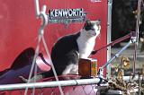 20050204_Kitty Kat_022
